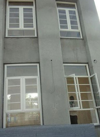 Galvanized Steel French Windows